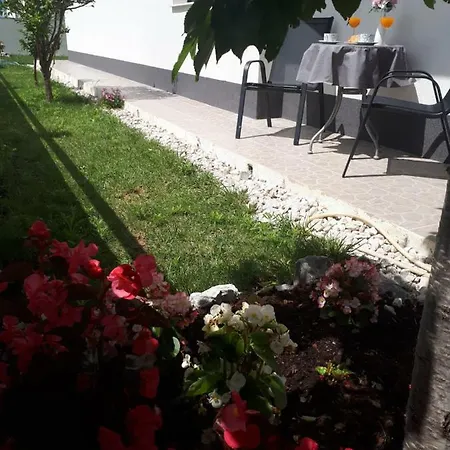 Apartment Ivano *